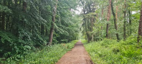 Rund um das ehemalige Pleistalwerk
