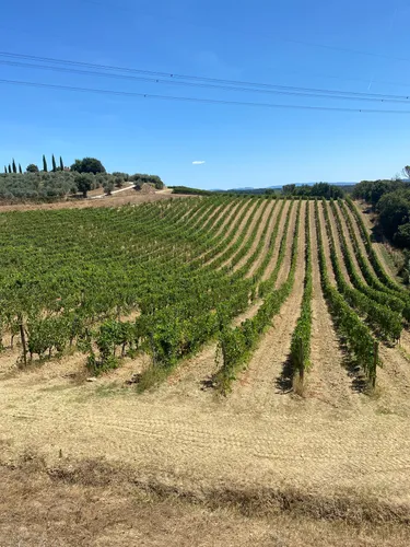 Best Hikes and Trails in Capraia e Limite AllTrails