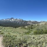 Showers Lake via the PCT, California - 478 Reviews, Map