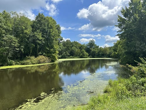 East fork mtb trails outlet
