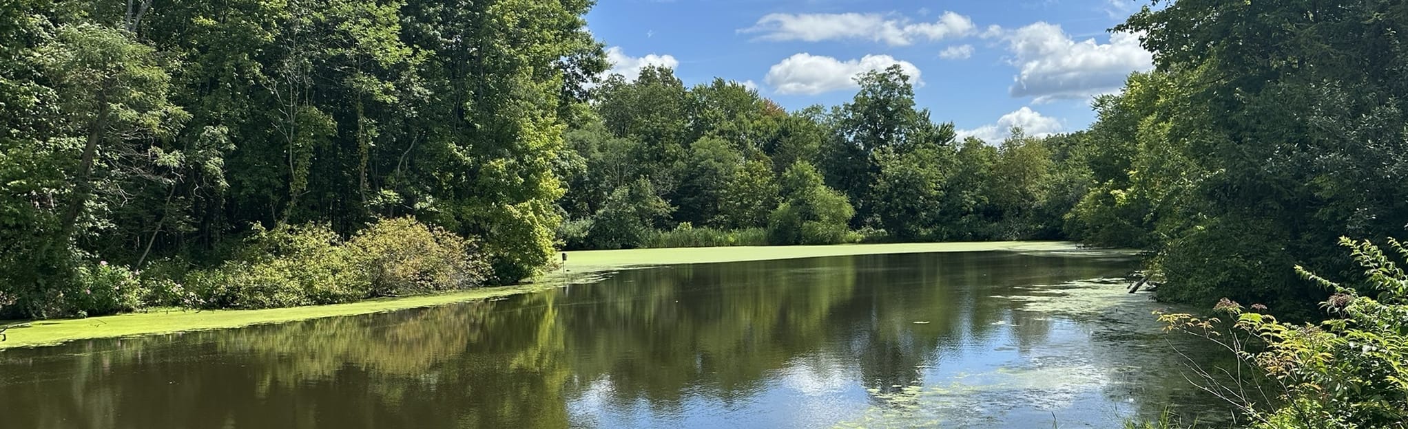 East Fork Beach Trail, Ohio 1,308 Reviews, Map AllTrails