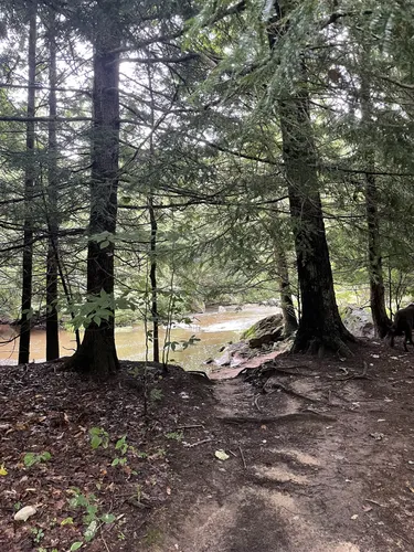 Best Hikes and Trails in Mountain Top AllTrails