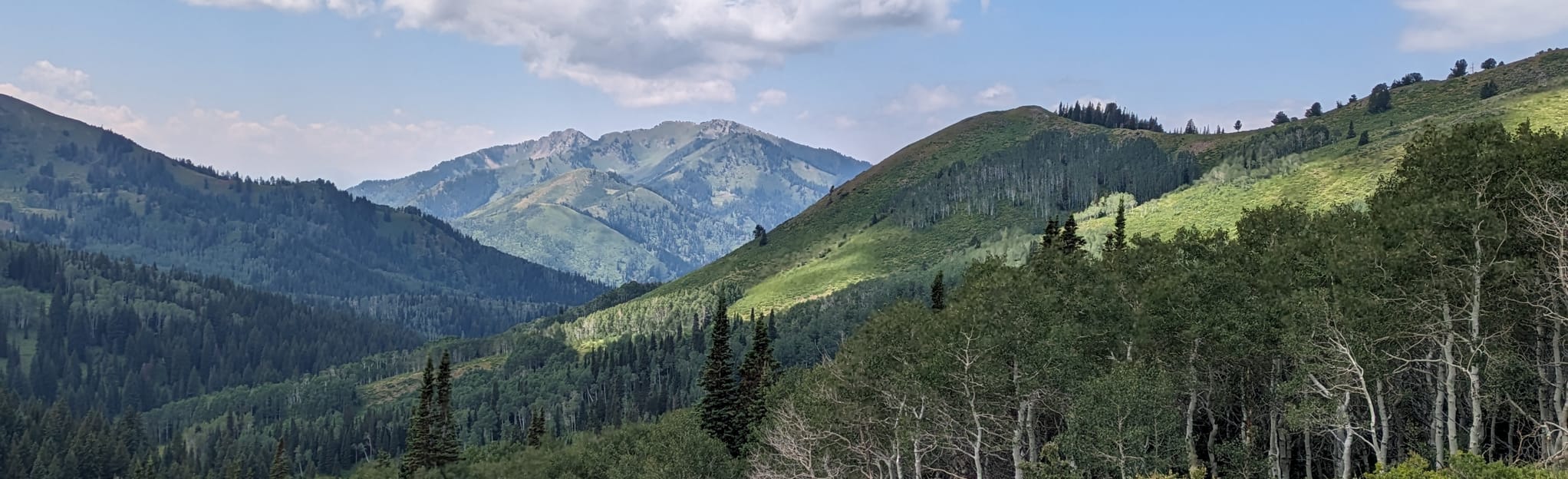 Murdock Peak via Old Red Pine Road 537 Reviews, Map Utah AllTrails
