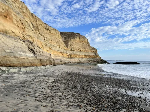 10 Best Hikes and Trails in Torrey Pines State Natural Reserve | AllTrails