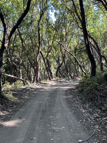 Photos of Buzzard Lagoon California AllTrails