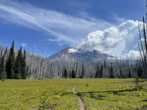 Mt adams shop backpacking