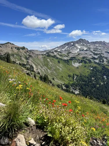 Goat rocks outlet wilderness hikes