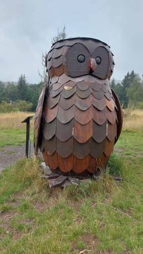 Löwenzahn-Entdeckerpfad