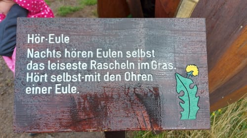 Löwenzahn-Entdeckerpfad