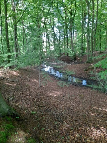 W1 - Altenfluth