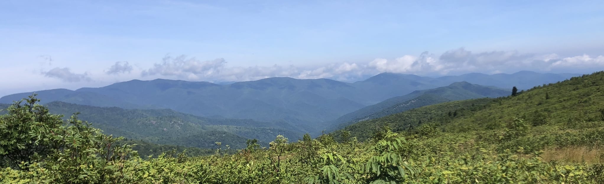Deep Gap Loop, North Carolina 84 Reviews, Map AllTrails