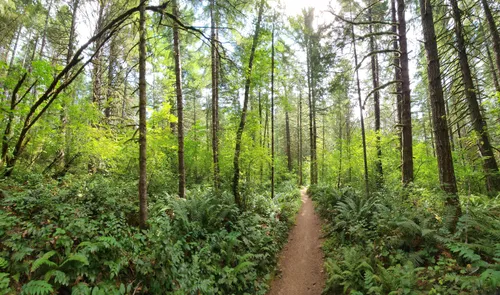 Stub stewart state discount park mountain biking