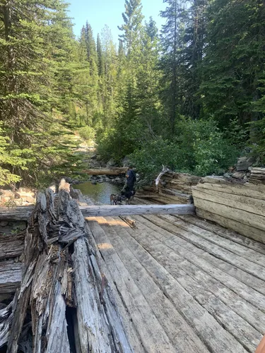 2023 Best River Trails In Central Kootenay B | AllTrails