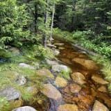 Whiteface Mountain Summit Trail - EyJidWNrZXQiOiJhc3NldHMuYWxsdHJhaWxzLmNvbSIsImtleSI6InVwbG9hZHMvcGhvdG8vaW1hZ2UvNjM3ODAxNTYvNjhhNWQwMjFiOGUwMjMyMzI3NTQ0ZTM0M2NhOWI5MzYuanBnIiwiZWRpdHMiOnsidG9Gb3JtYXQiOiJqcGVnIiwicmVzaXplIjp7IndpZHRoIjoxNjAsImhlaWdodCI6MTYwLCJmaXQiOiJjb3ZlciJ9LCJyb3RhdGUiOm51bGwsImpwZWciOnsidHJlbGxpc1F1YW50aXNhdGlvbiI6dHJ1ZSwib3ZlcnNob290RGVyaW5naW5nIjp0cnVlLCJvcHRpbWlzZVNjYW5zIjp0cnVlLCJxdWFudGlzYXRpb25UYWJsZSI6M319fQ==