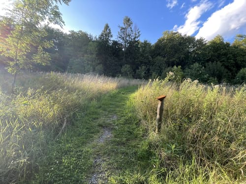 Bummelkuppenweg (kurz)