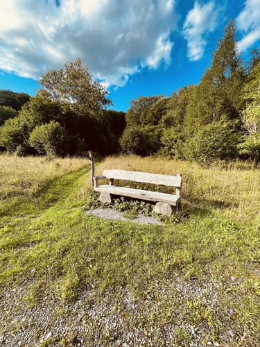 Bummelkuppenweg (kurz)