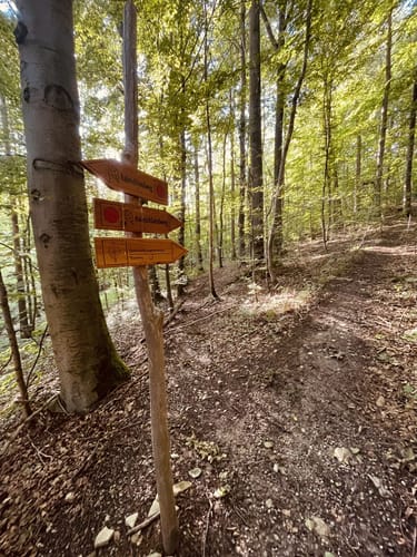 Bummelkuppenweg (kurz)