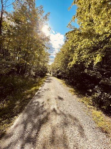 Bummelkuppenweg (kurz)