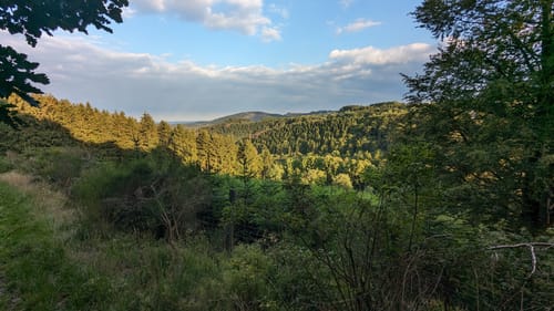 Winterberger Schluchten- und Brückenpfad