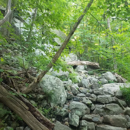 2023 Best Kid Friendly Trails in Vernon township AllTrails