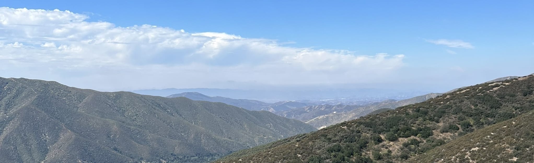 Grass Mountain via San Francisquito Canyon Road, California 185 Reviews, Map AllTrails