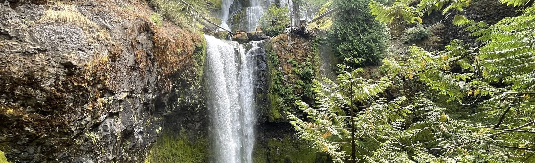 Falls Creek Lower Falls Loop, Washington - 312 Reviews, Map | AllTrails