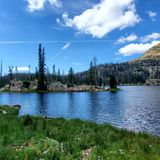 Island Lake Trail, Utah - 595 Reviews, Map | AllTrails