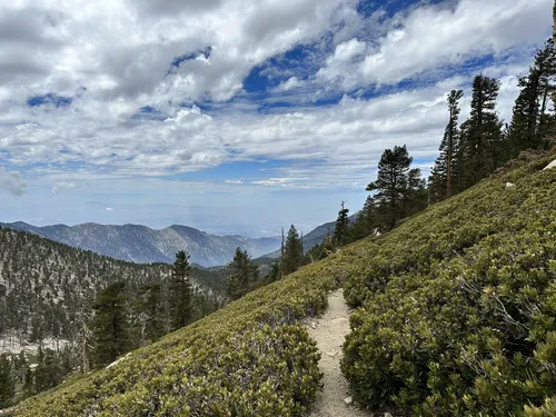 Halfway camp outlet san gorgonio