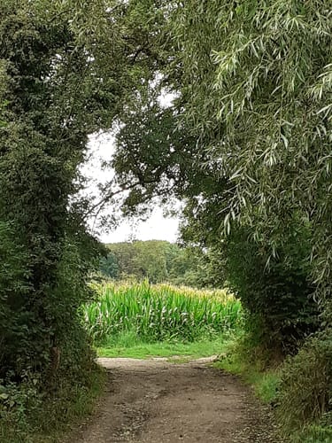 Gouley-Tour Würselen - Morsbacher Heide (Würselen A3)