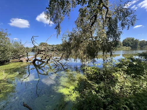 Nette-Seen (Premiumwanderweg)