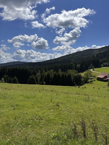 Böhmhof - Brandten