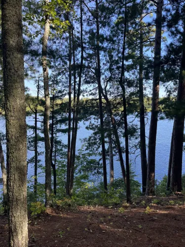 10 Best Hikes and Trails in Chippewa National Forest AllTrails