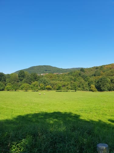 Alsweiler - Oberthal - Tholey