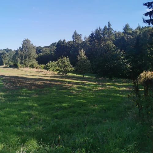 Rodenbach - Rundwanderweg Eichhörnchen