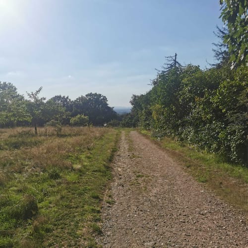 Rodenbach - Rundwanderweg Eichhörnchen
