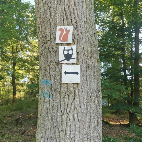 Rodenbach - Rundwanderweg Eichhörnchen