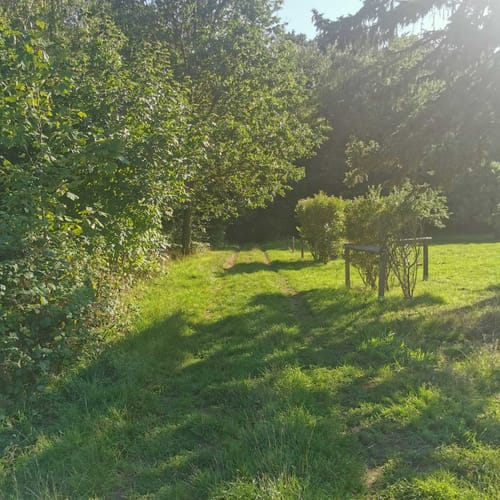 Rodenbach - Rundwanderweg Eichhörnchen