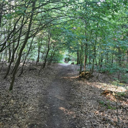 Rodenbach - Rundwanderweg Eichhörnchen