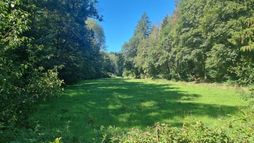 Naturpark Südeifel Wanderweg Nr. 39 - Geichlingen