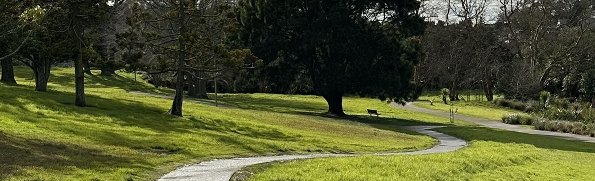 Sherwood Reserve and Freyberg Park Loop, Auckland, New Zealand - 217 ...