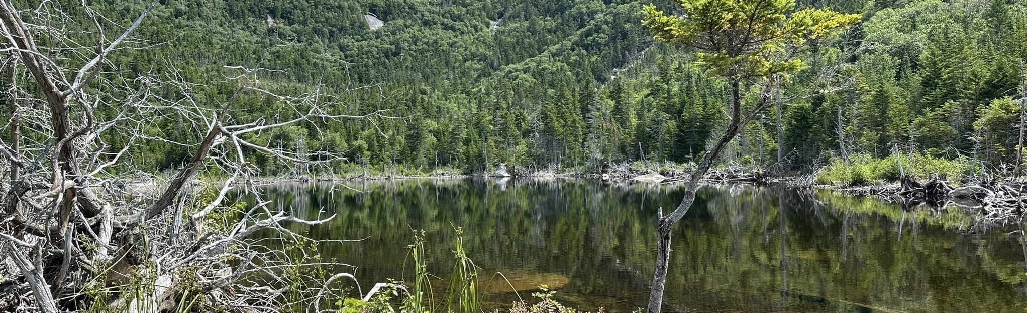 North and South Brother via Marston Trail, Maine 324 Reviews, Map