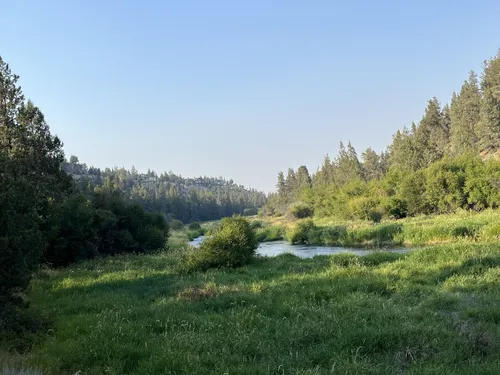 2023 Best Partially Paved Trails in Redmond | AllTrails