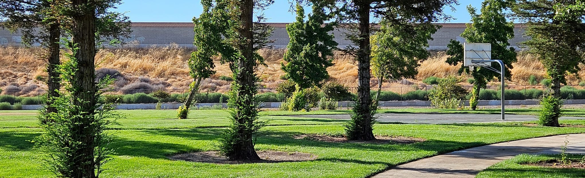 Clyde Bland Park Loop 1 Reviews, Map California AllTrails