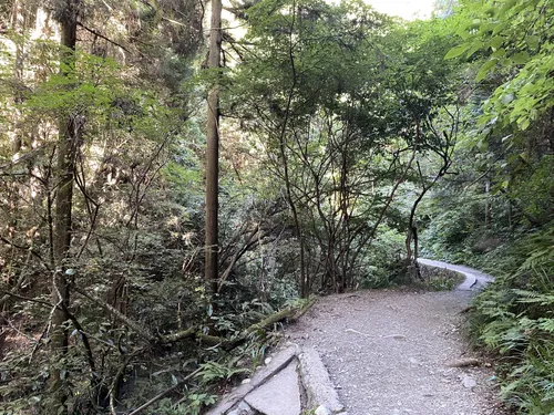 2023 Best Partially Paved Trails in Meiji no Mori Takao QuasiNational