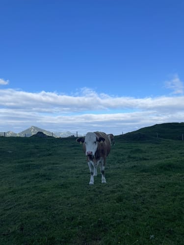 Kranzhorn Gipfelglück