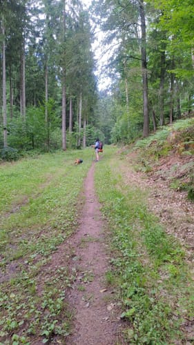 Hasenstabweg