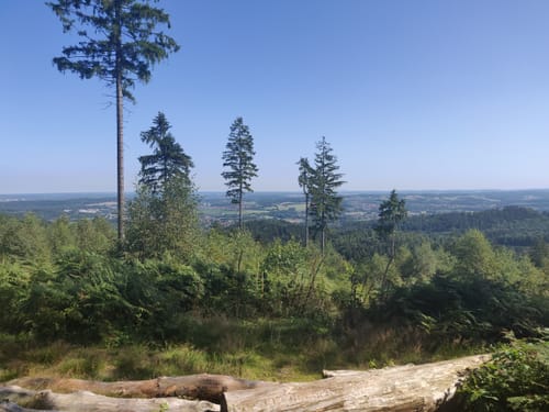 Teutoburger Wald: Kammweg und Sachsenweg