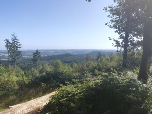 Teutoburger Wald: Kammweg und Sachsenweg