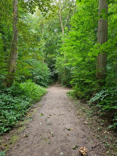 An der Kiellinie