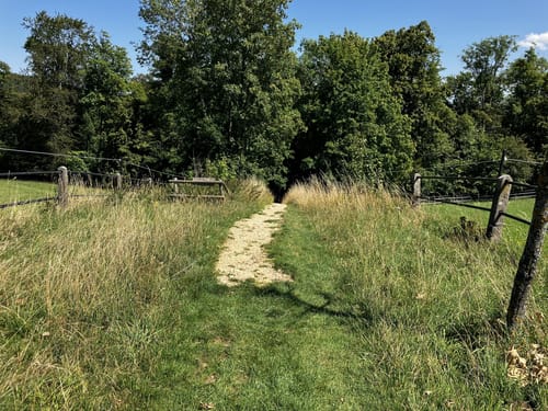 HOCHGEHBERGE I "hochgeflogen" (Premiumwanderweg)